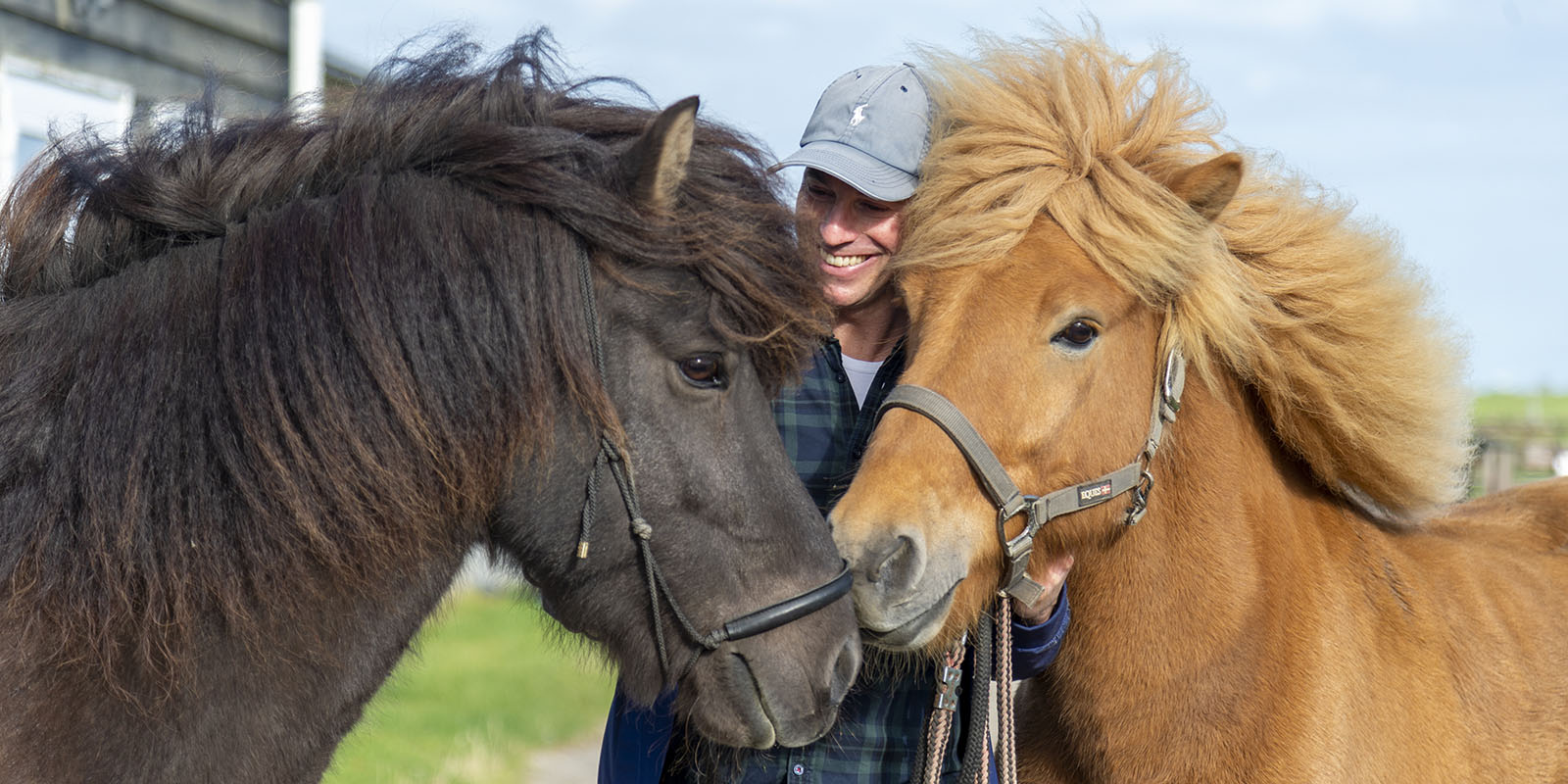 Olivers Horse Management